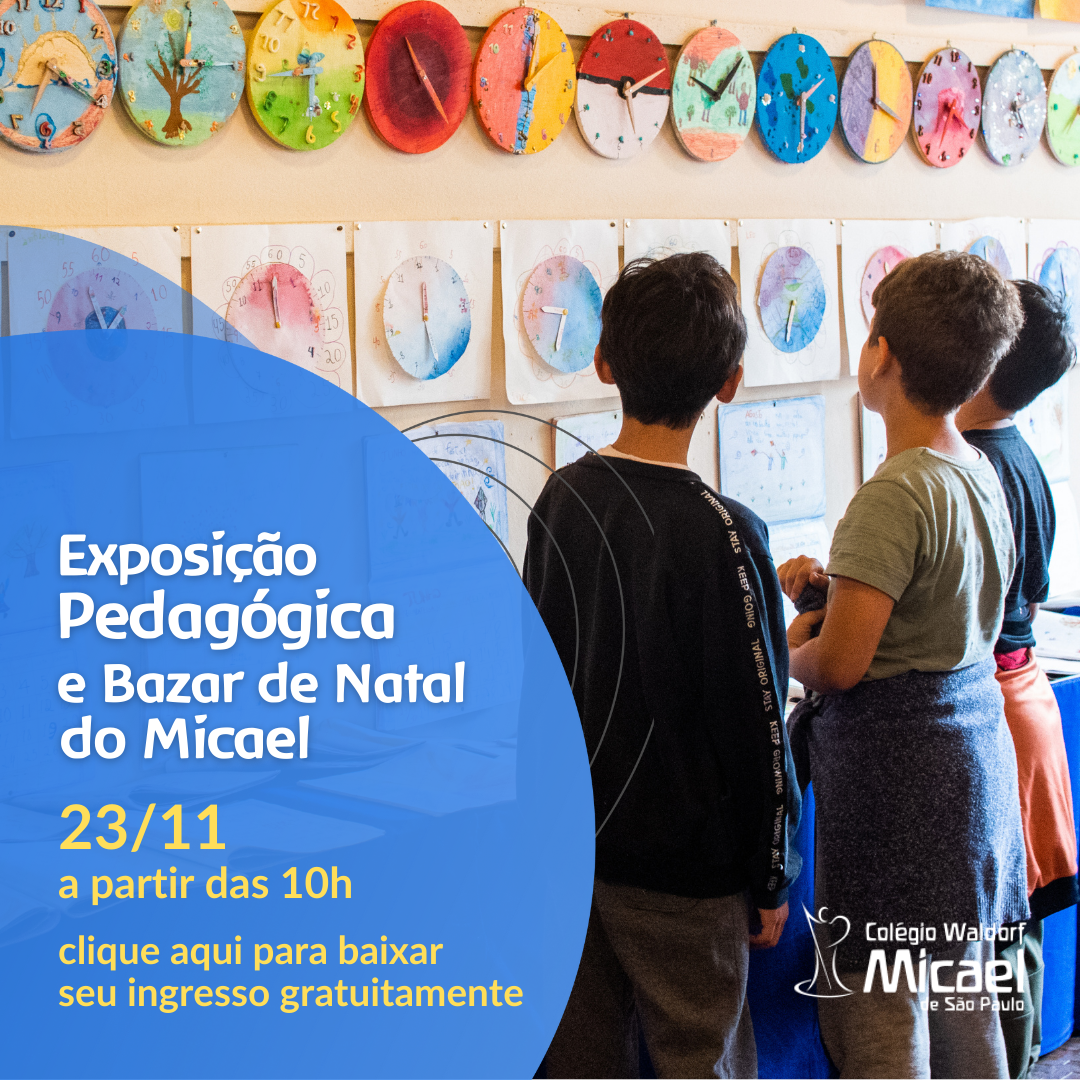 exposição pedagógica